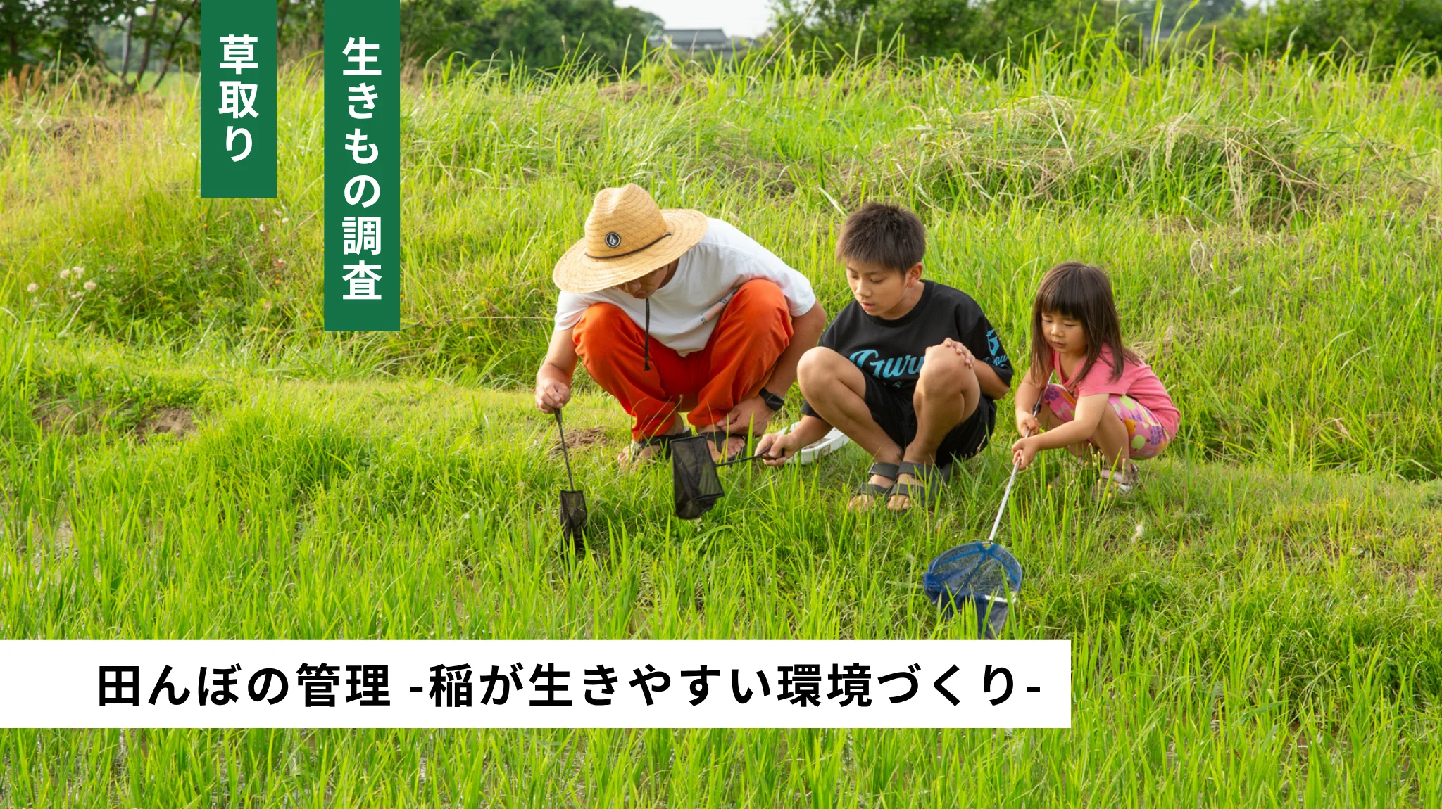 田んぼの管理